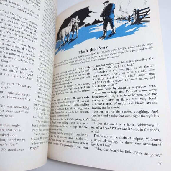 The Big Enid Blyton Book 1976 Hardcover DJ Hamlyn 140 Pgs. Colour Illustrated - Picture 15 of 16